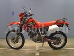     Honda XR250 2001  4